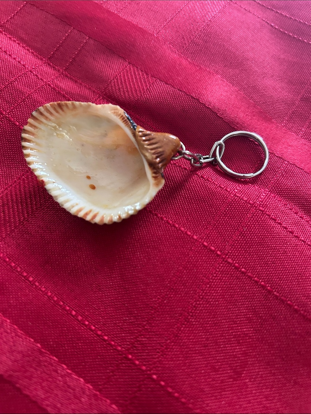 Tropical Parrot Shell Keychain - Multicolor - Picture 3 of 4